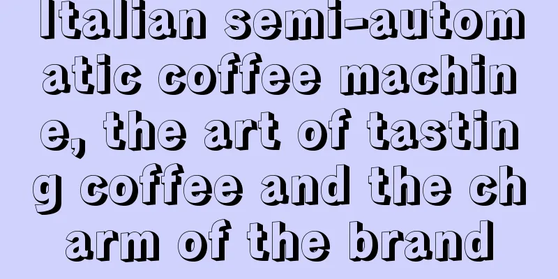 Italian semi-automatic coffee machine, the art of tasting coffee and the charm of the brand