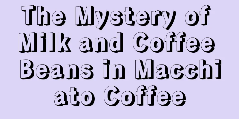 The Mystery of Milk and Coffee Beans in Macchiato Coffee