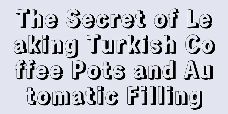 The Secret of Leaking Turkish Coffee Pots and Automatic Filling