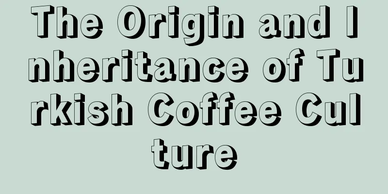 The Origin and Inheritance of Turkish Coffee Culture