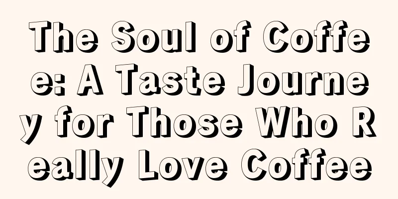 The Soul of Coffee: A Taste Journey for Those Who Really Love Coffee