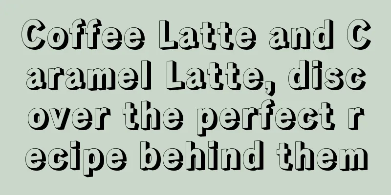 Coffee Latte and Caramel Latte, discover the perfect recipe behind them