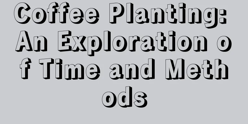 Coffee Planting: An Exploration of Time and Methods