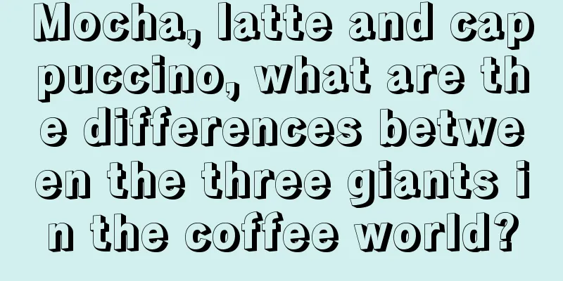 Mocha, latte and cappuccino, what are the differences between the three giants in the coffee world?