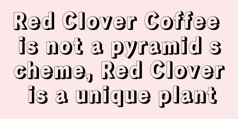 Red Clover Coffee is not a pyramid scheme, Red Clover is a unique plant