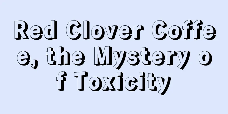 Red Clover Coffee, the Mystery of Toxicity