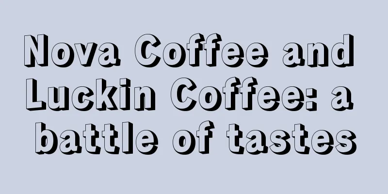 Nova Coffee and Luckin Coffee: a battle of tastes