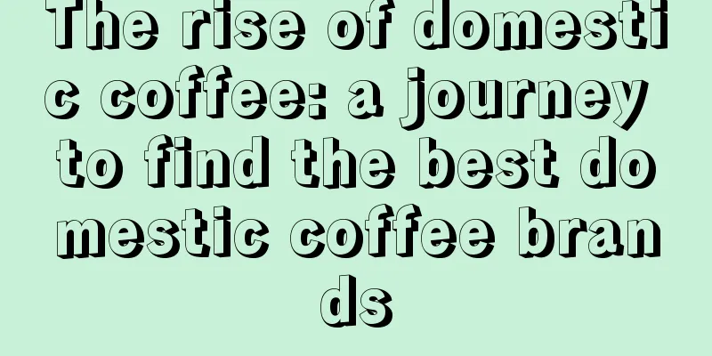 The rise of domestic coffee: a journey to find the best domestic coffee brands