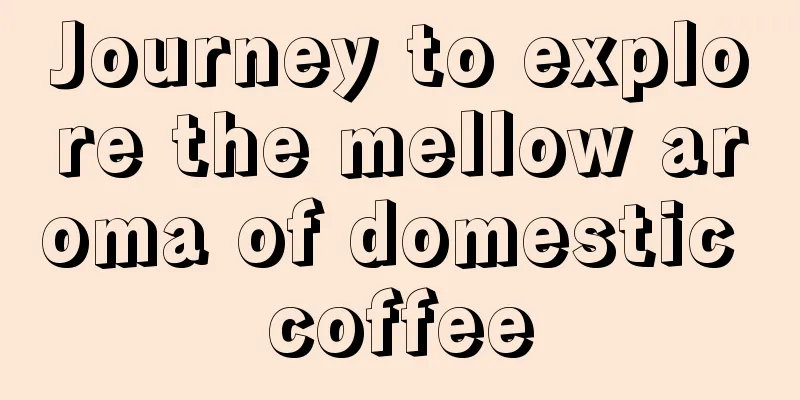 Journey to explore the mellow aroma of domestic coffee