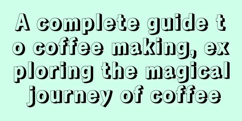 A complete guide to coffee making, exploring the magical journey of coffee