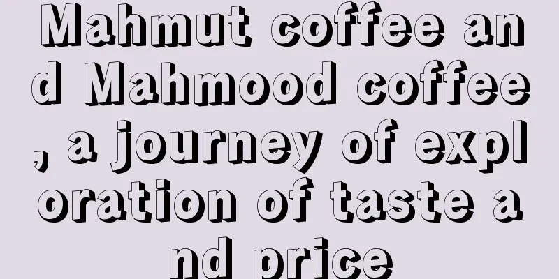 Mahmut coffee and Mahmood coffee, a journey of exploration of taste and price