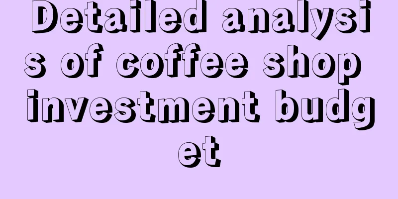 Detailed analysis of coffee shop investment budget