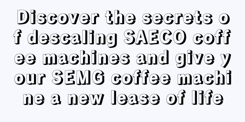 Discover the secrets of descaling SAECO coffee machines and give your SEMG coffee machine a new lease of life