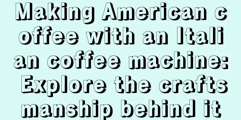 Making American coffee with an Italian coffee machine: Explore the craftsmanship behind it