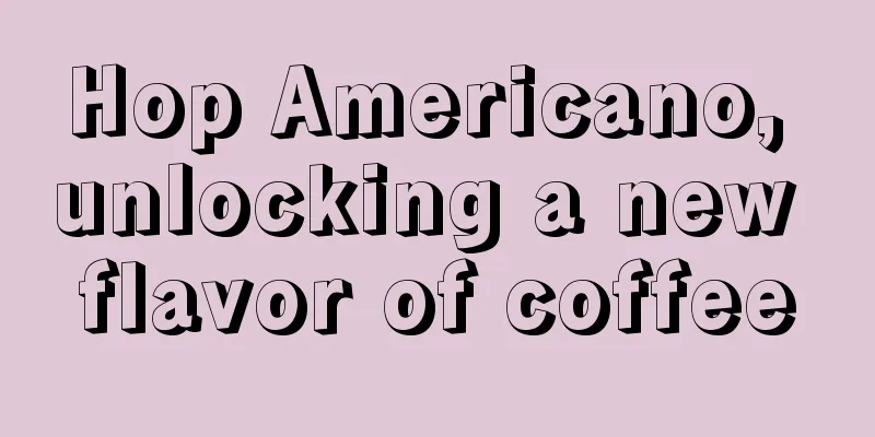 Hop Americano, unlocking a new flavor of coffee