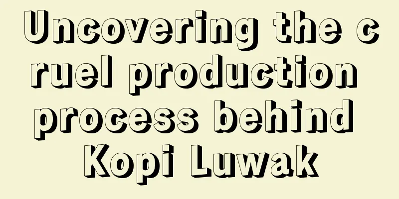 Uncovering the cruel production process behind Kopi Luwak