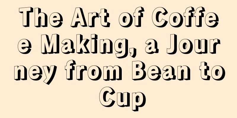 The Art of Coffee Making, a Journey from Bean to Cup