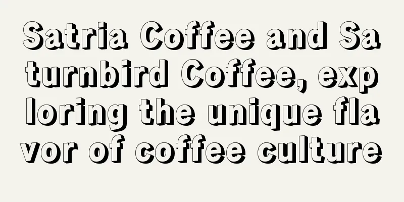 Satria Coffee and Saturnbird Coffee, exploring the unique flavor of coffee culture