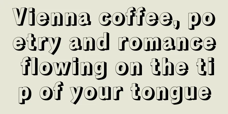 Vienna coffee, poetry and romance flowing on the tip of your tongue