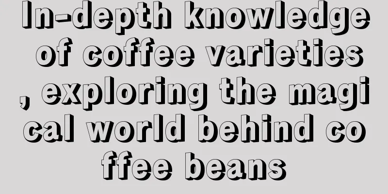 In-depth knowledge of coffee varieties, exploring the magical world behind coffee beans