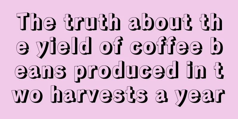 The truth about the yield of coffee beans produced in two harvests a year