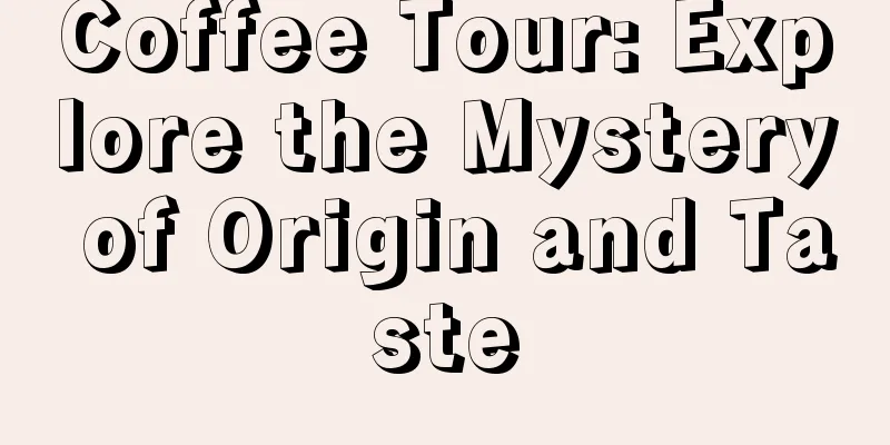 Coffee Tour: Explore the Mystery of Origin and Taste