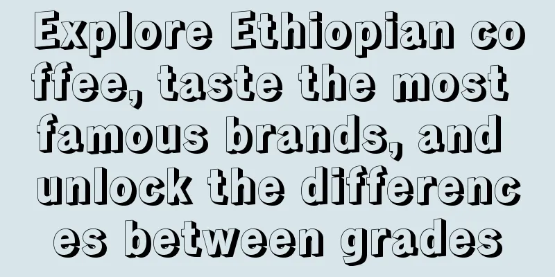 Explore Ethiopian coffee, taste the most famous brands, and unlock the differences between grades