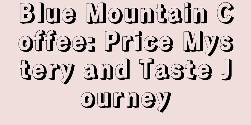 Blue Mountain Coffee: Price Mystery and Taste Journey