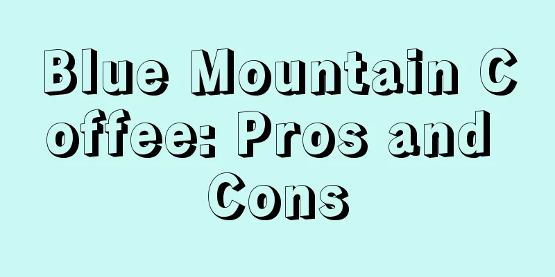 Blue Mountain Coffee: Pros and Cons