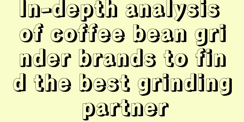 In-depth analysis of coffee bean grinder brands to find the best grinding partner