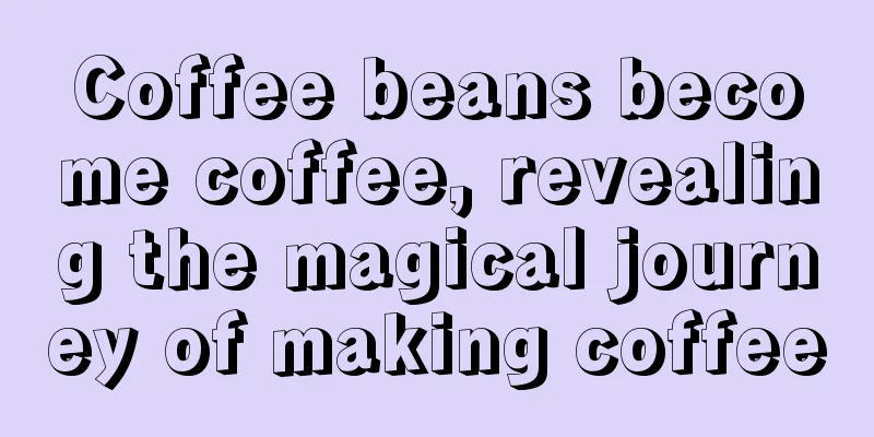 Coffee beans become coffee, revealing the magical journey of making coffee