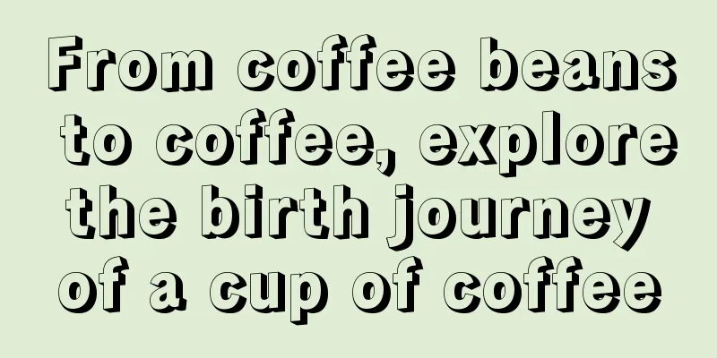 From coffee beans to coffee, explore the birth journey of a cup of coffee