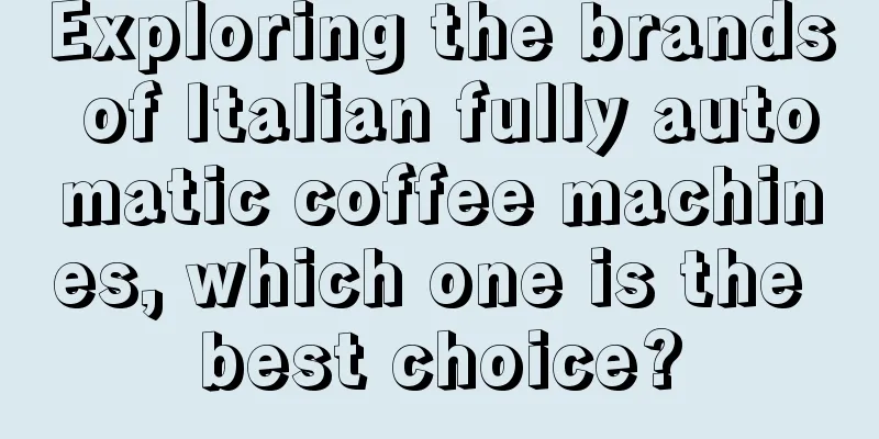 Exploring the brands of Italian fully automatic coffee machines, which one is the best choice?