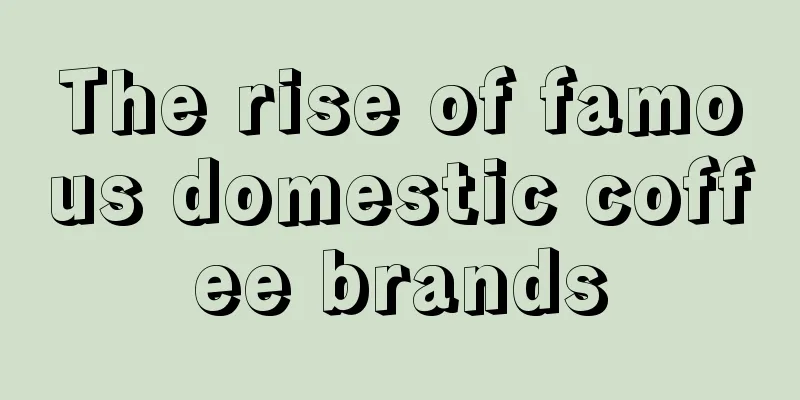 The rise of famous domestic coffee brands