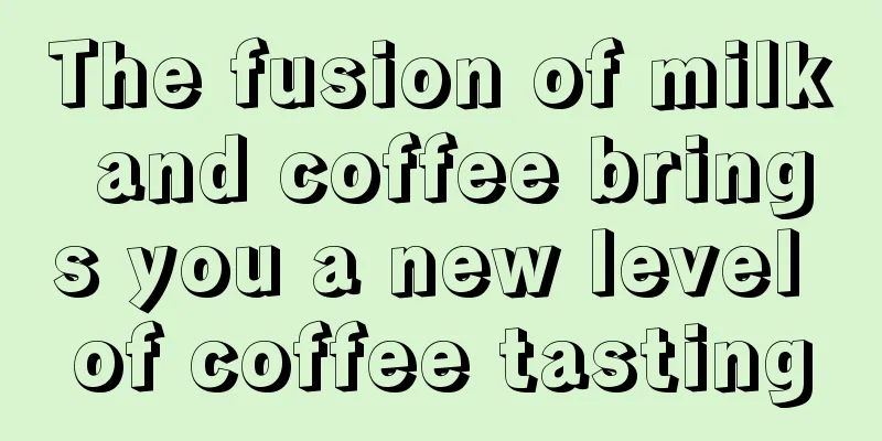 The fusion of milk and coffee brings you a new level of coffee tasting