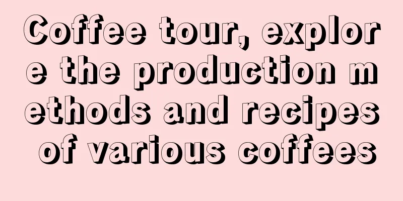 Coffee tour, explore the production methods and recipes of various coffees