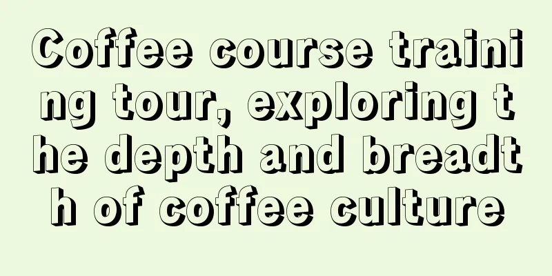 Coffee course training tour, exploring the depth and breadth of coffee culture