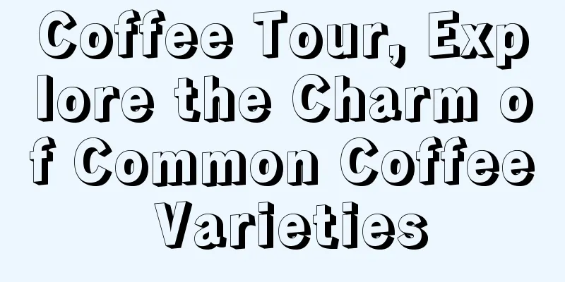 Coffee Tour, Explore the Charm of Common Coffee Varieties