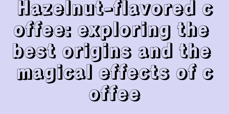 Hazelnut-flavored coffee: exploring the best origins and the magical effects of coffee