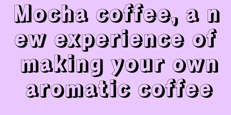 Mocha coffee, a new experience of making your own aromatic coffee