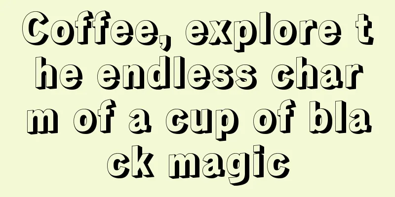 Coffee, explore the endless charm of a cup of black magic