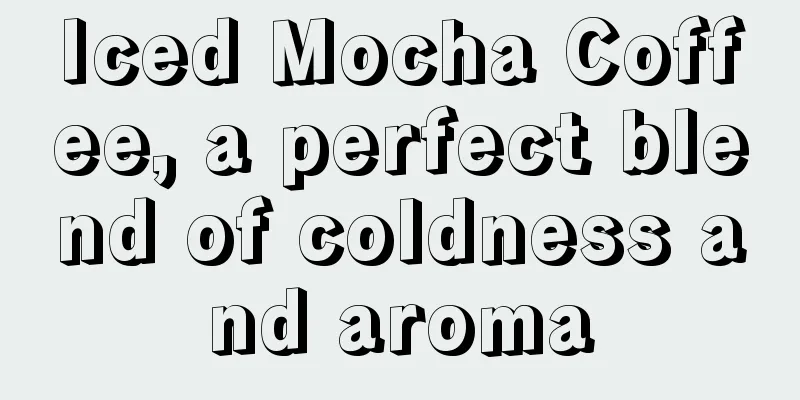 Iced Mocha Coffee, a perfect blend of coldness and aroma