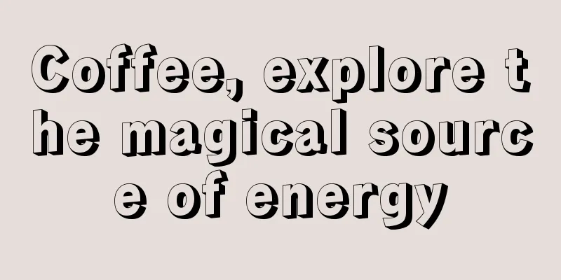 Coffee, explore the magical source of energy