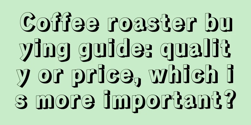 Coffee roaster buying guide: quality or price, which is more important?