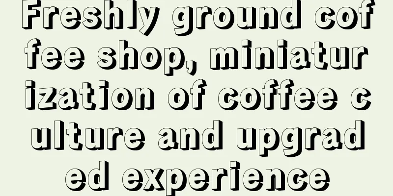 Freshly ground coffee shop, miniaturization of coffee culture and upgraded experience