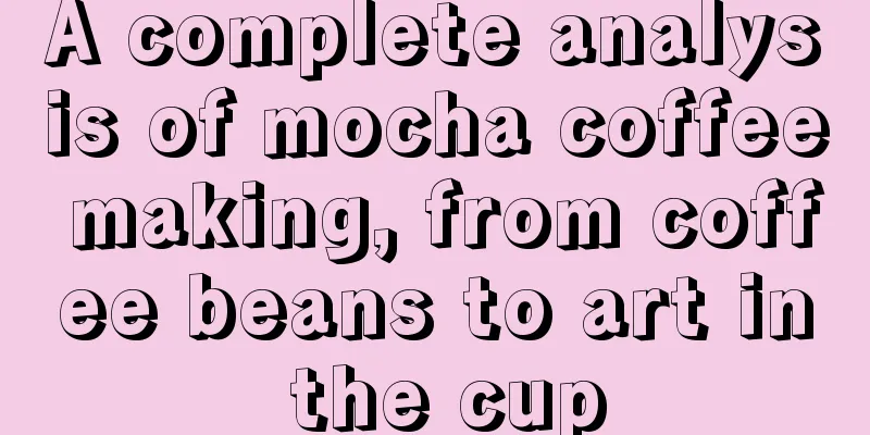 A complete analysis of mocha coffee making, from coffee beans to art in the cup