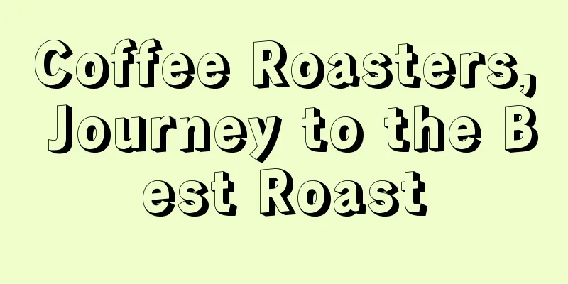 Coffee Roasters, Journey to the Best Roast