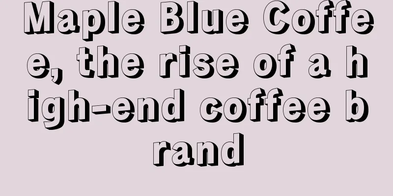 Maple Blue Coffee, the rise of a high-end coffee brand