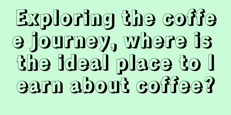 Exploring the coffee journey, where is the ideal place to learn about coffee?