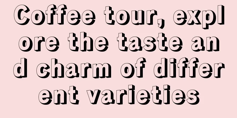 Coffee tour, explore the taste and charm of different varieties